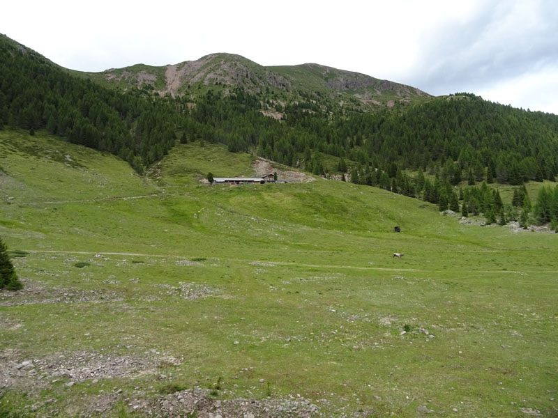 Catena dei Lagorai...da Pergine al Passo del Manghen